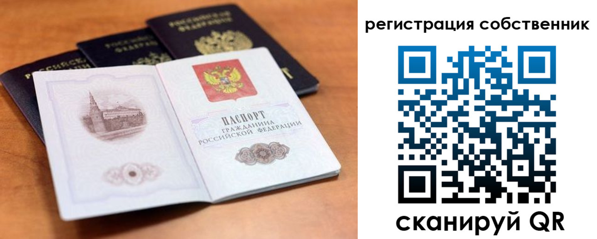 прописка поиск в Торопеце